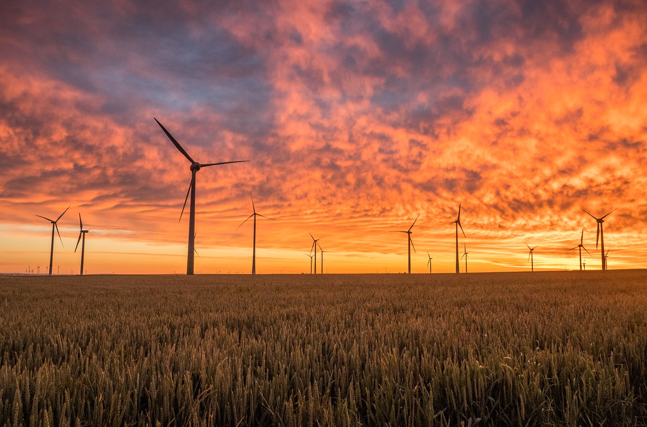 Trump Administration Moves to Halt Nearly Finished Revolution Wind Project