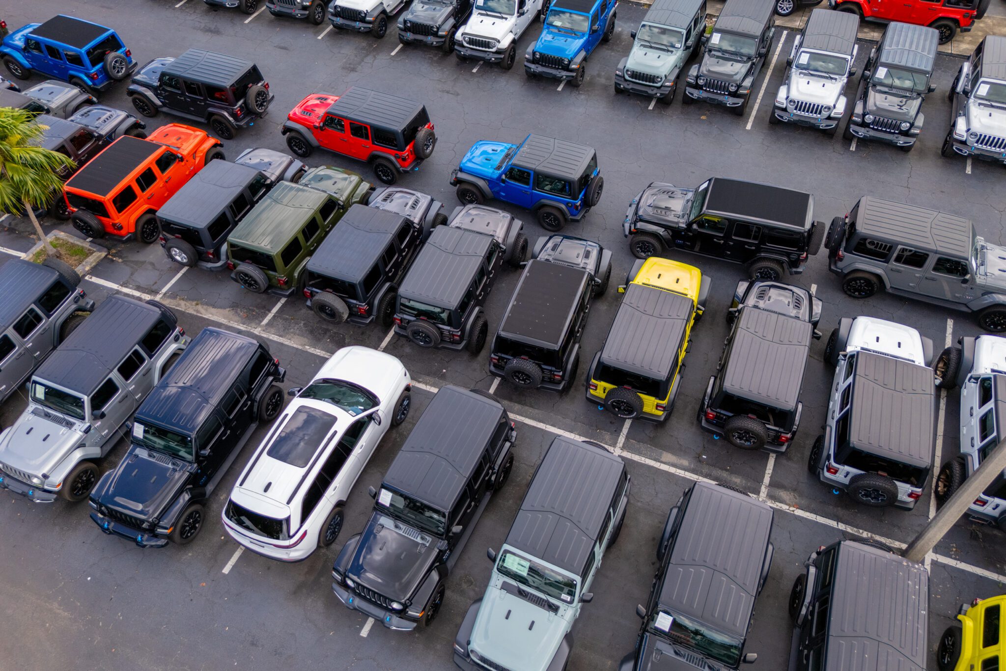 What October's Global Car Registration Data Reveals About the 2026 Market