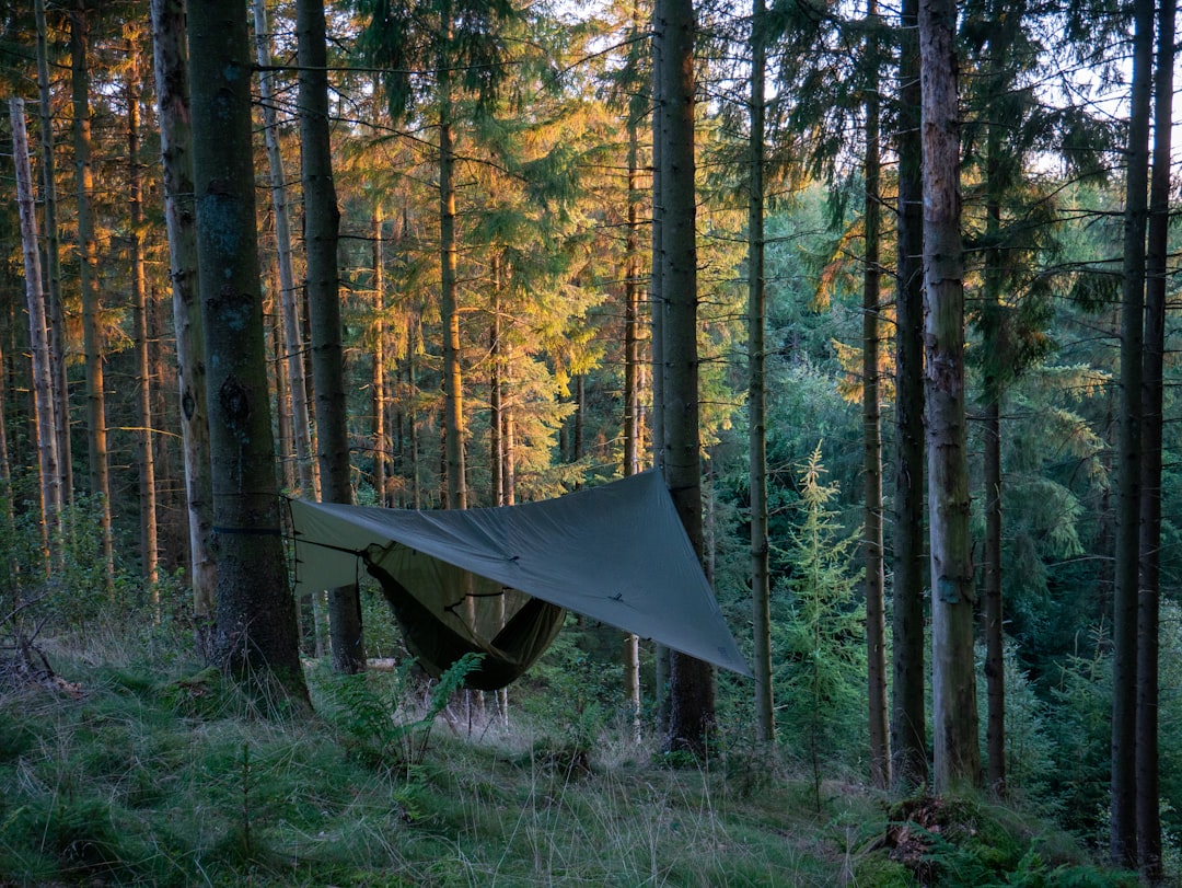 Haven's Lat-Flat Hammock Tent: A Patented Twist on Camping Comfort