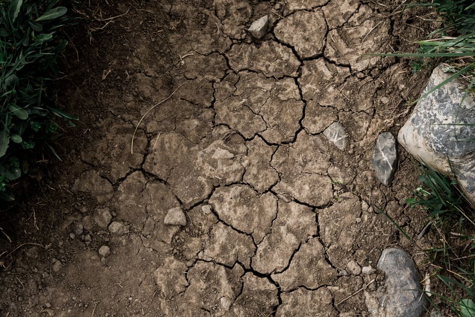London Homes at Risk as Clay Soil Shrinks: A Hidden Climate Cost