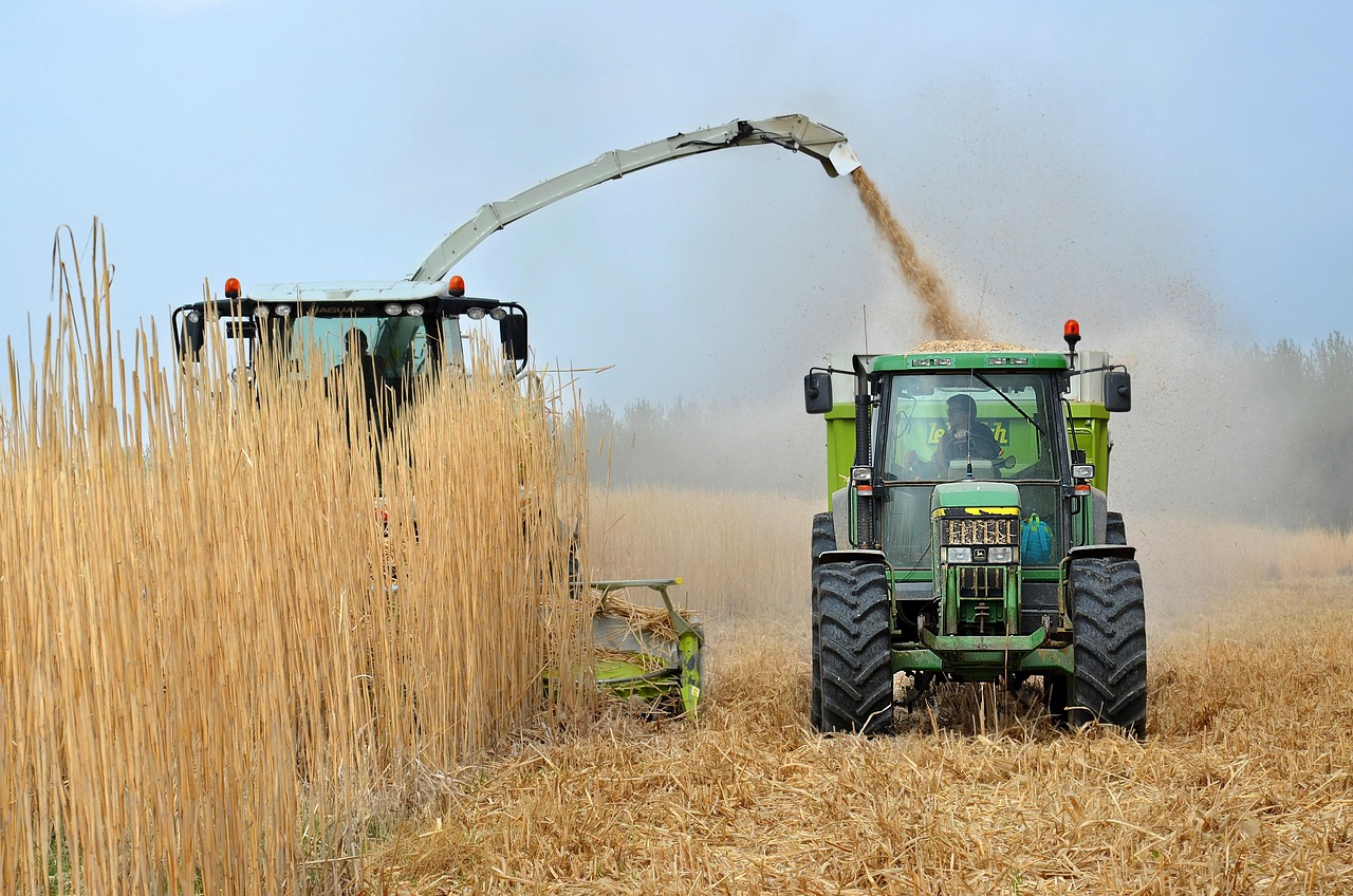 Invasive Alge als nächster Biokraftstoff für Verbrenner angepriesen