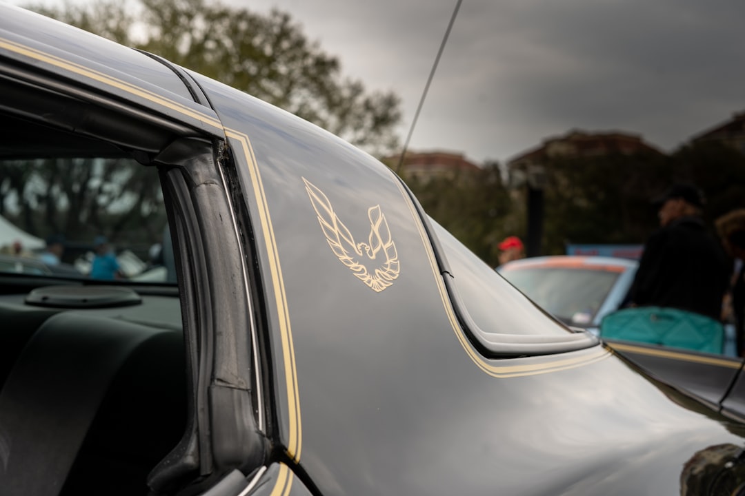 Bandit Tribute Candidate: 1979 Pontiac Trans Am Surfaces