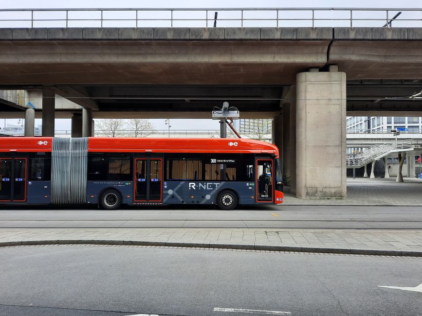 University at Buffalo Rolls Out First Electric Buses in Stampede Fleet