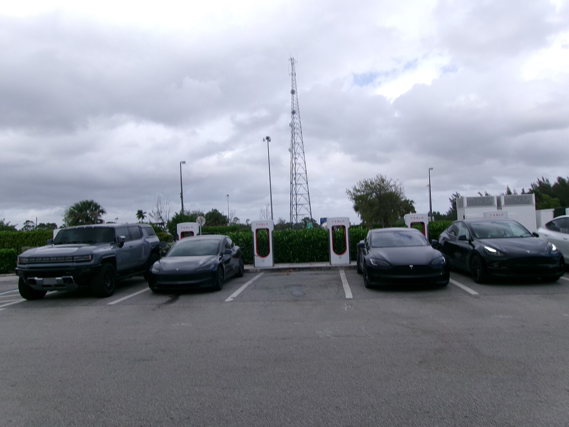 GM and Tesla: Revenue Growth Trends and What They Signal for Investors