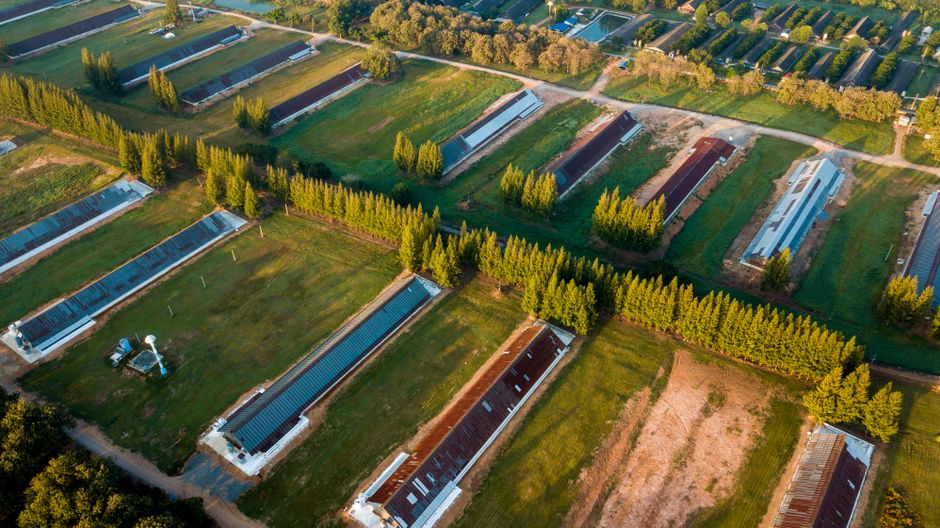 Kentucky County Opens Farmland to Solar in Landmark Zoning Vote