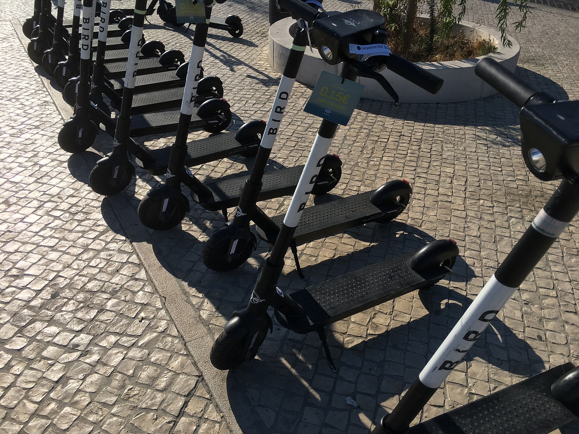 Bir Zamanlar 2,5 Milyar Dolar Değerindeki Scooter Şirketi Bird İflas Başvurusu Yaptı