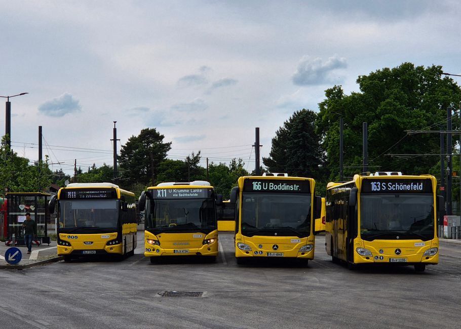Queensland Scraps Electric Bus Mandate, Calling the Plan a 'Fanciful Pipe-Dream'