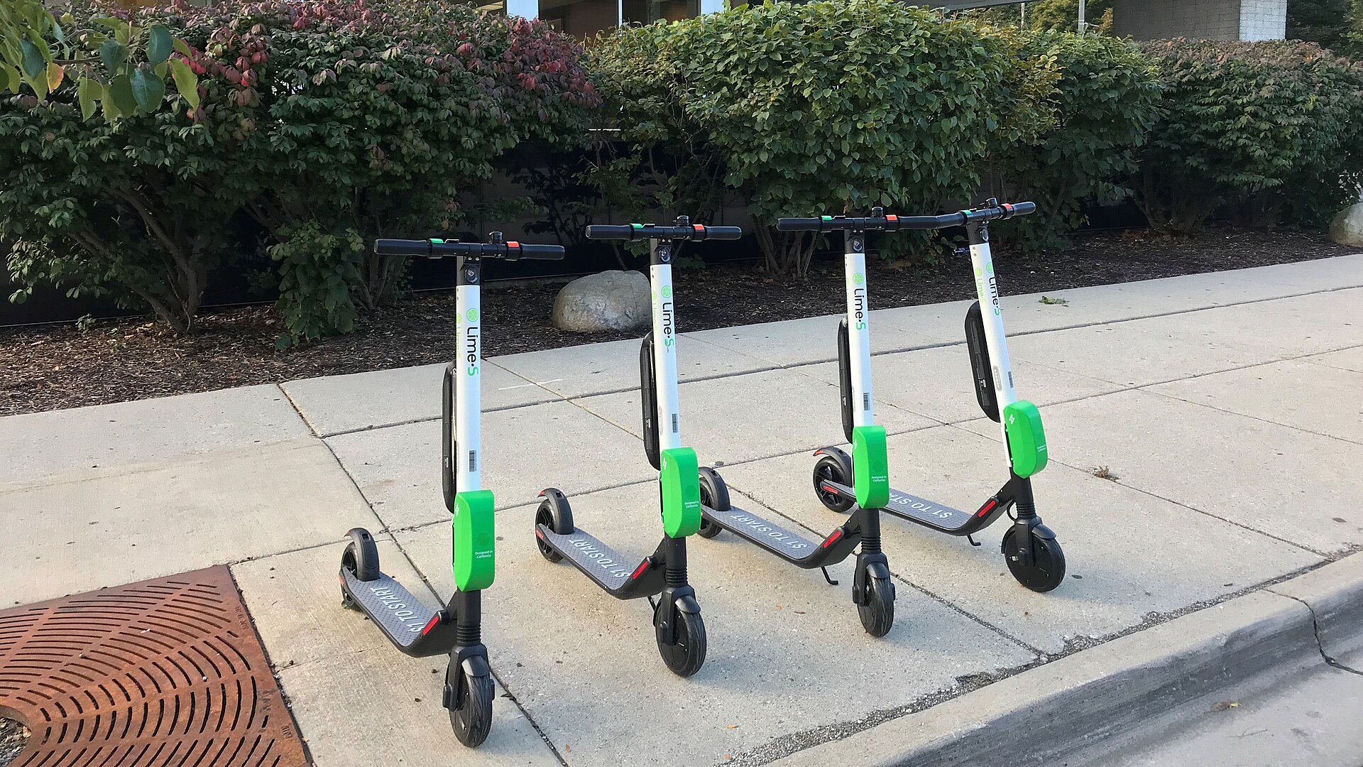 Lime CEO'su: Scooter Girişimini Borsaya Taşıyan Dönüşümün Perde Arkası