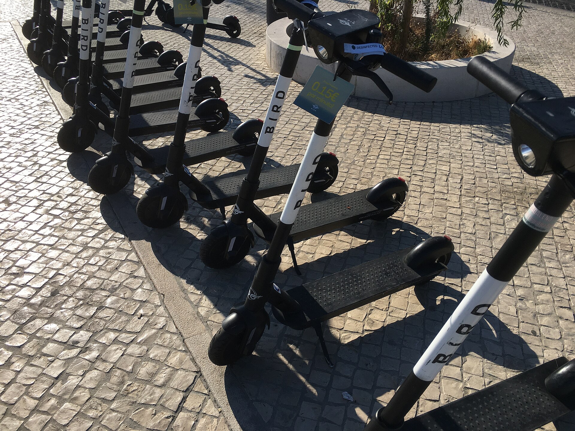 Bird Expands Beyond Scooters with Electric Moped Launch This Summer