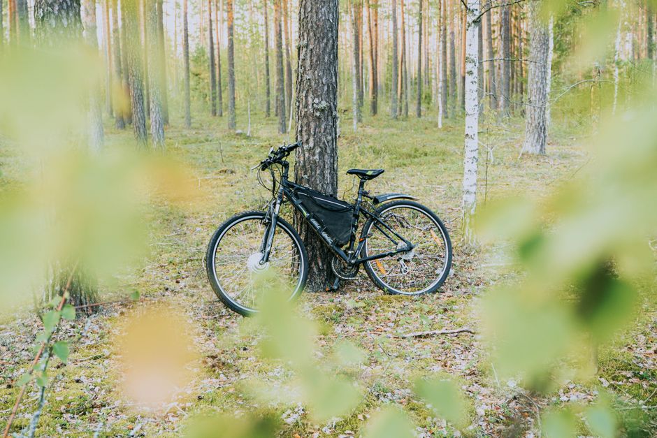 Green Deals im Überblick: Velotric E-Bike-Rabatt, Jackery Solar-Bundle und mehr