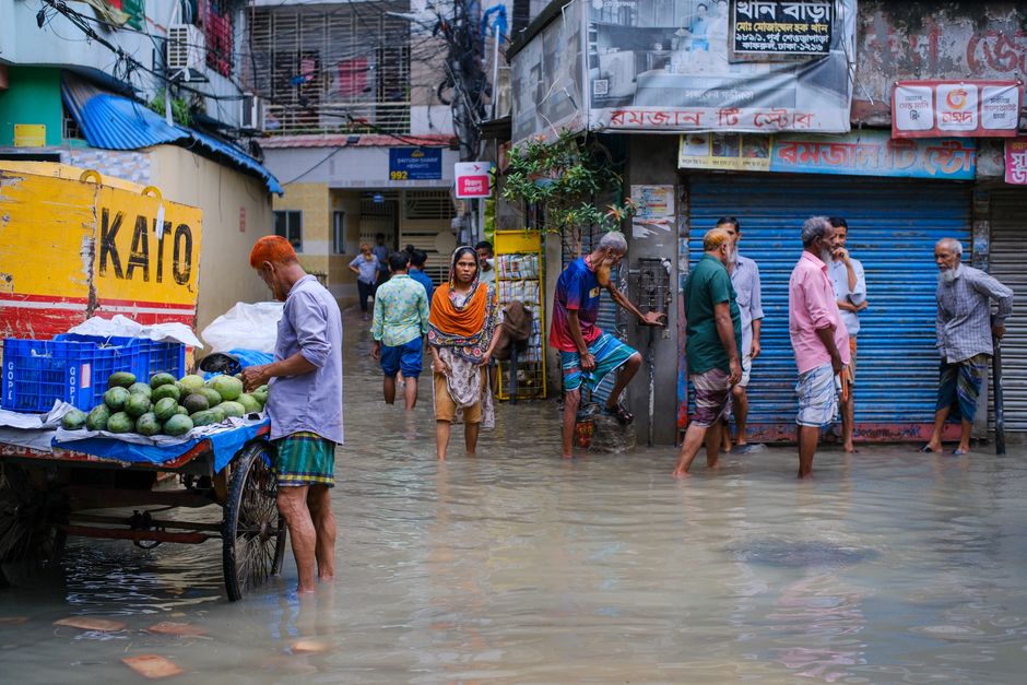 Why Elon Musk's DOGE Role Is Being Criticized After the Nepal Floods