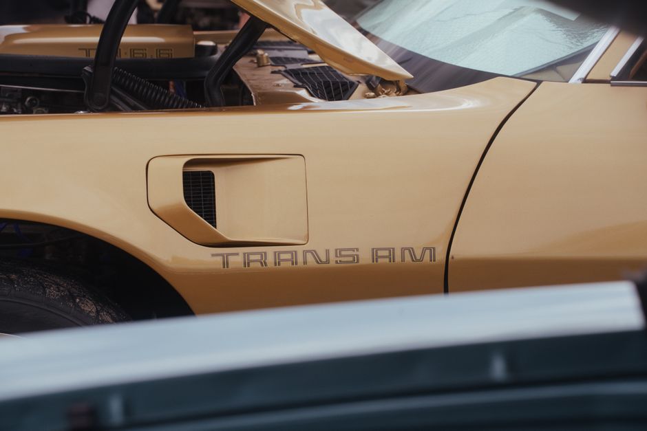 Ein 1980er Pontiac Turbo Trans Am in Solar Gold: WS6 ausgestattet und bereit, bemerkt zu werden