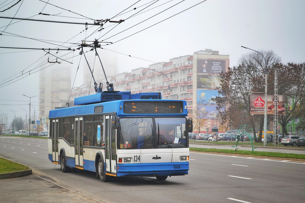 BYD Electric Bus Sales Climb 51.8% in August Despite Monthly Dip