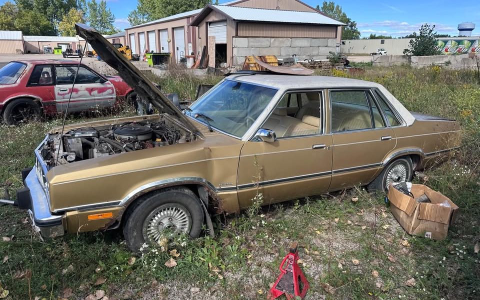 Wisconsin'de Tarlada Bulunan 1983 Ford Fairmont Futura Yıkamanın Ötesinde İlgi Bekliyor