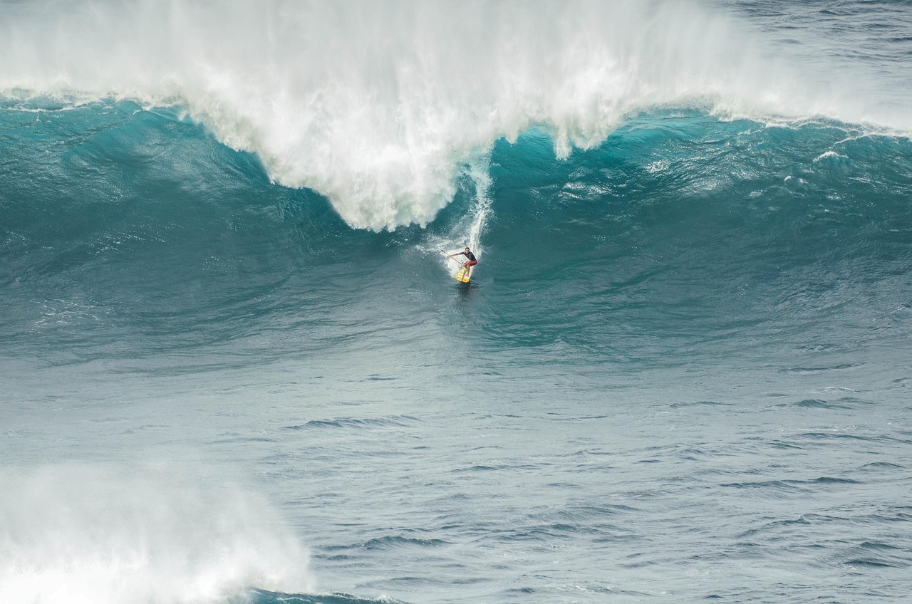 SURF-WEC: A New Wave Energy Device Takes to the Water in Hawaii