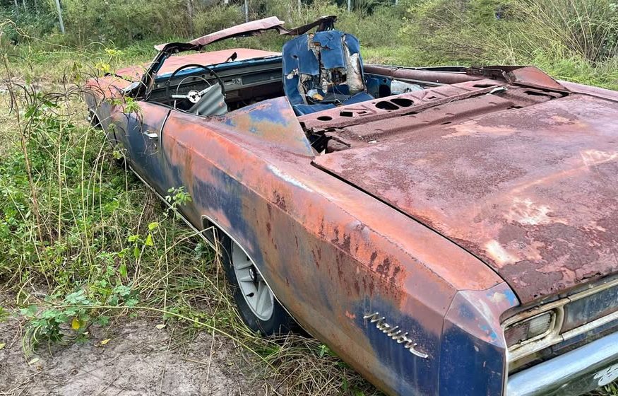 Fırtınada Hasar Gören 1966 Chevrolet Chevelle Malibu Cabrio Florida'da Tarlada Ortaya Çıktı